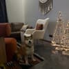 AINO Hotel 7-8/10