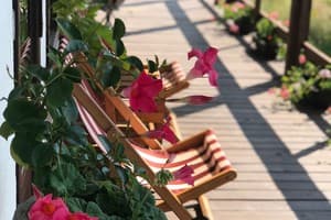 Агора шале 5