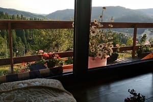 Агора шале 8