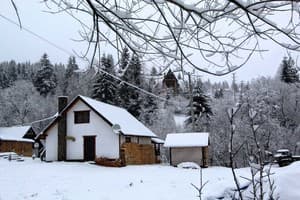 Коттедж Alfa Plus