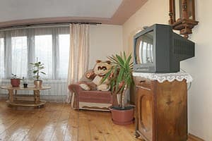 Анітина садиба 10