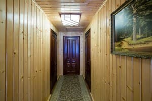Арника 17