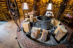 Арника 2