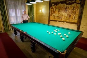 Арника 13