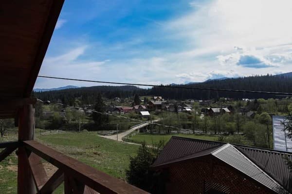 Арника 3