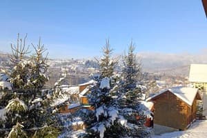 Арника 4