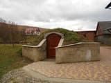 Арника 3