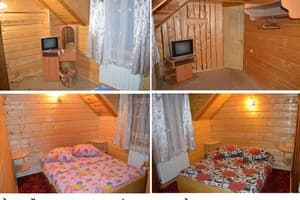 Арника. Три башни  4