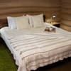 Гостинично-ресторанный комплекс BRB Park Hotel. Люкс 4-местный Двухкомнатный +2 2