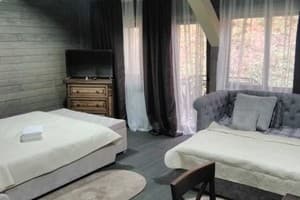 Гостинично-ресторанный комплекс BRB Park Hotel. Семейный 4-местный Люкс +2 1