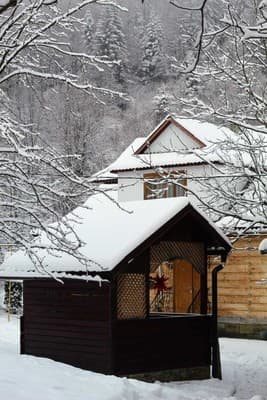 Багрівчанка 1