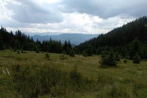 Барвинок 9