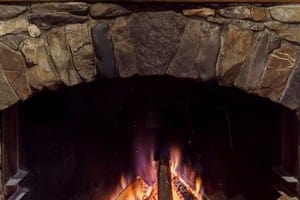 Білий Слон 12