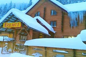 Отель Берлога Синевир