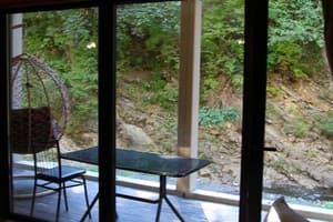 Берлога Синевир 8