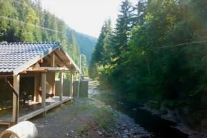 Берлога Синевир 20