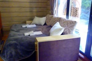 Берлога Синевир 29