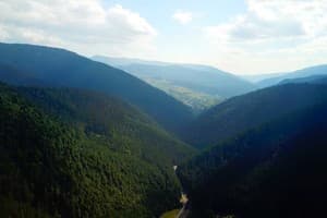 Берлога Синевир 31