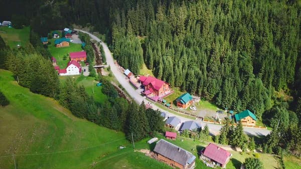 Берлога Синевир 43