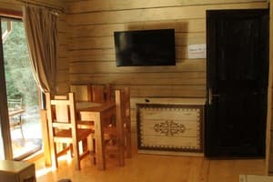 Отель Берлога Синевир. Коттедж двухместный  4