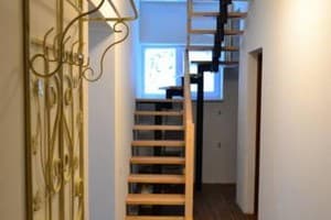 Біля лісу 11