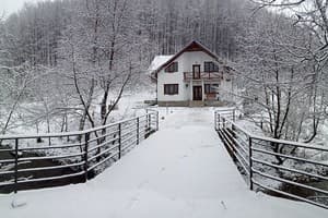 Коттедж Біля лісу