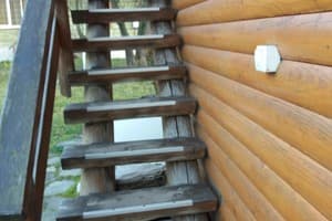 Біля пруту 1