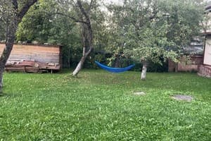 Біля ставка 43