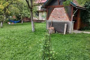 Біля ставка 45