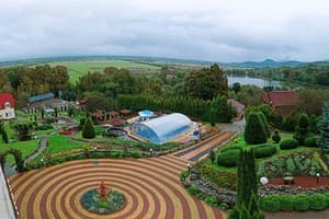 Благодать 38