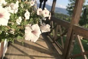 Ближе Неба 9