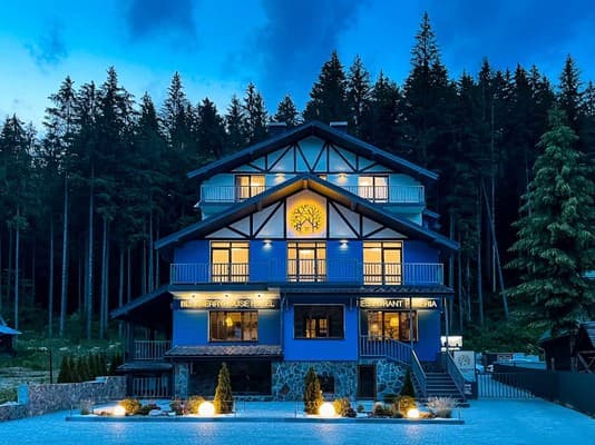Blueberryhouse 5