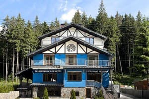 Отель Blueberryhouse