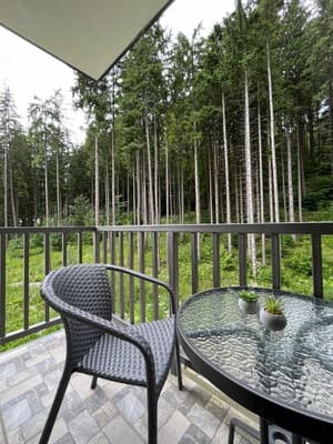 Blueberryhouse 2