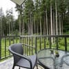 Blueberryhouse 2-3/6