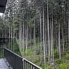 Отель Blueberryhouse. Стандарт двухместный с балконом 11