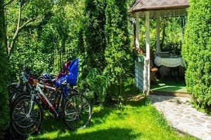 Большая Медведица 5