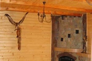 Брусничка 3