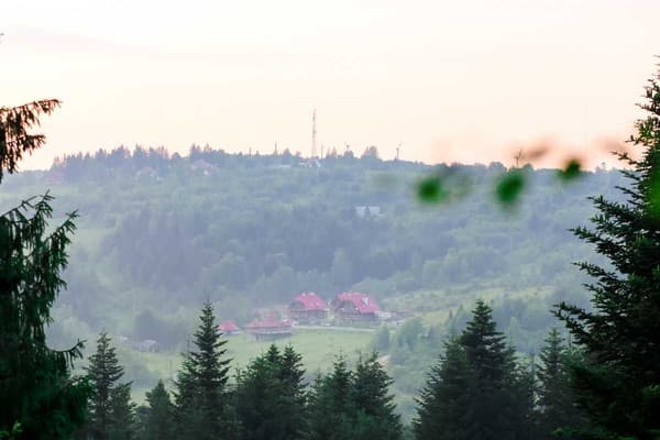 Бухів 8