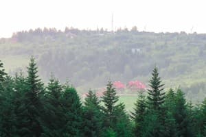 Бухів 16