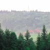 Бухів 16-17/96