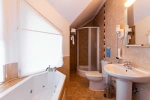 Отель Bukovel Hotel. Шале двухместный супериор 7