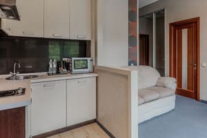 Отель Bukovel apart. Апартаменты двухместный тип 3 с видом на горы 3