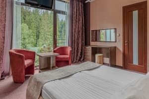 Отель Bukovel apart. Апартаменты двухместный тип 3 с видом на горы 4