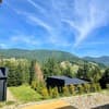 Carpathian View 6-7/22