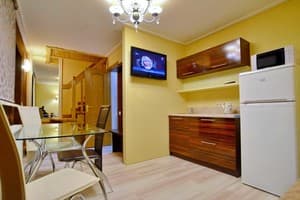 Отель Чабан. Апартаменты двухместный (2+2) двухуровневіе 30 м. 2