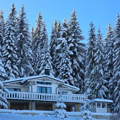 Шале Chalet pid Kryntoyu