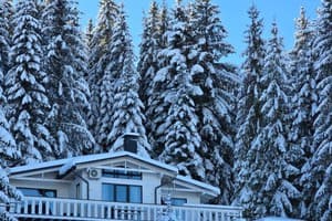 Шале Chalet pid Kryntoyu