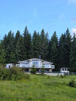 Chalet pid Kryntoyu 17