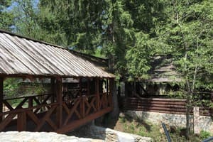 Черемош 4